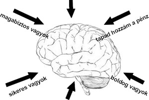 brain